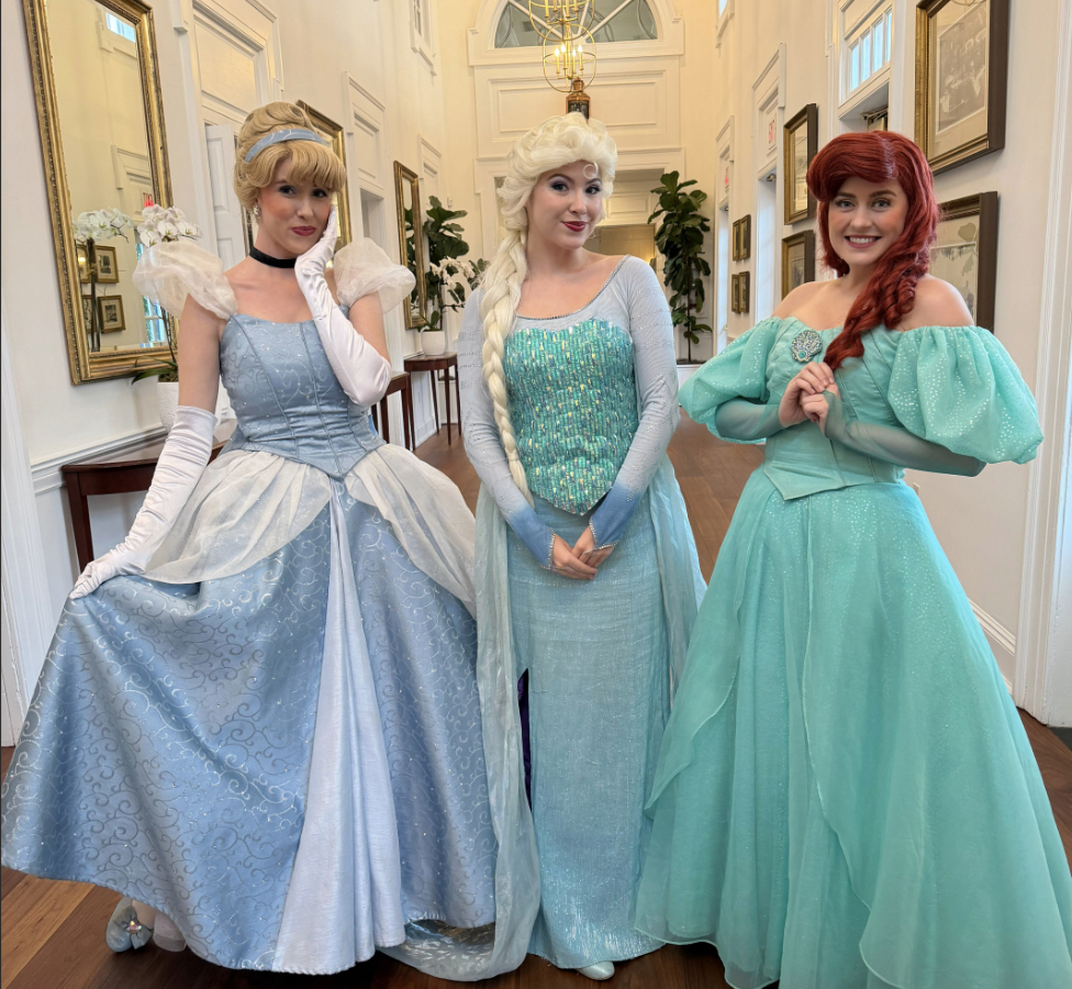 Questions to Ask Before Booking a Tampa Princess Party